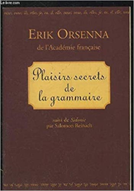 Plaisirs secrets de la grammaire